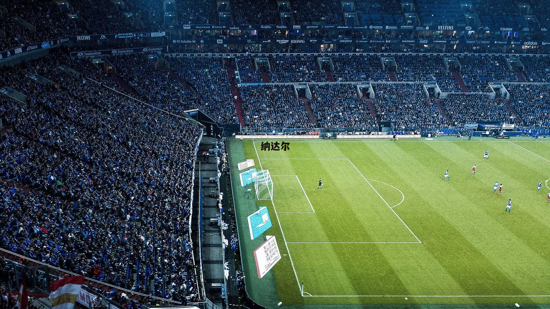 纳达尔-1xbet中文版官方网站